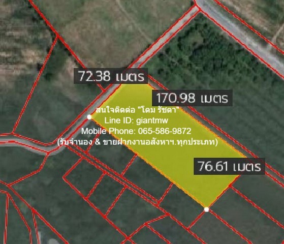 ที่ดิน ที่ดินเขาชีจรรย์ สัตหีบ ชลบุรี 110000 บ. ใหญ่ 15 sq.wa 3 Ngan 7 ไร่ ไม่ไกลจาก ห่างพระพุทธรูปแกะสลักหน้าผาเขาชีจรร