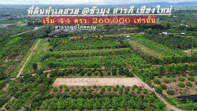 ขายที่ดิน 44-59ตรว. เริ่ม260,000บ. ฟรีโอน ถนน น้ำ ไฟฟ้า ใกล้วัดขัวมุง ต.ขัวมุง อ.สารภี เชียงใหม่