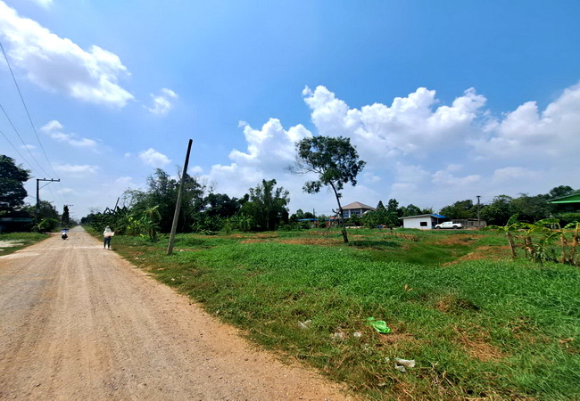 ขายที่ดิน ลำลูกกาคลอง 7 ซอยเทศบาล 3 ถนนลำลูกกา อำเภอลำลูกกา ปทุมธานี