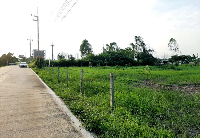 ขายที่ดิน ลำลูกกา คลอง 6 ถนนลำลูกกา ตำบลบึงคำพร้อย อำเภอลำลูกกา ปทุมธานี