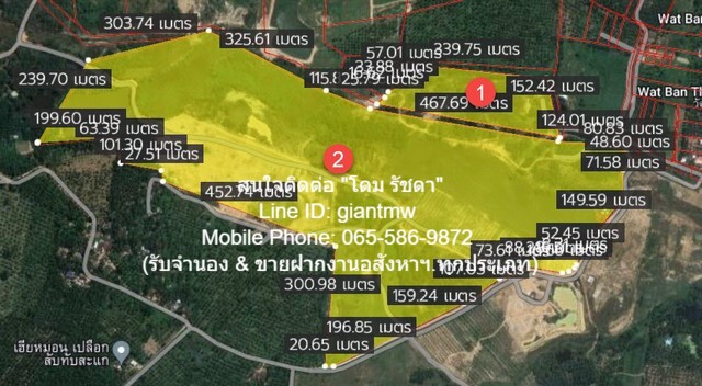 DHL-009 FOR SALE พื้นที่ดิน ืที่ดิน ทับสะแก จ.ประจวบคีรีขันธ์ 15000000 B. 70 SQ.WA 0 ngan 31 RAI ราคา – สุดคุ้ม