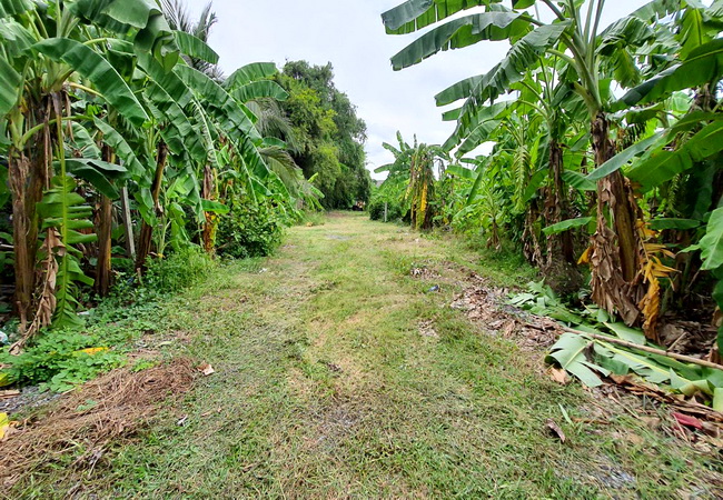 ขายที่ดิน หมู่บ้านปากเกร็ดวิลเลจ ซอยติวานนท์-ปากเกร็ด 20 ถนนติวานนท์ อำเภอปากเกร็ด นนทบุรี