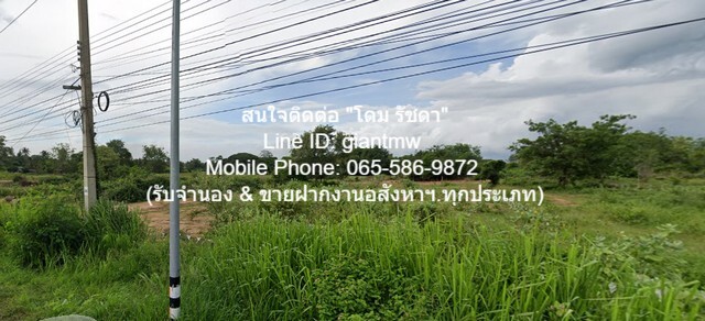 ที่ดิน ที่ดิน ปากน้ำปราณ 0 ตร.ว. 0 Ngan 48 ไร่ 120000000 บาท. ใกล้ ห่างจากถนนทางหลวงหมายเลข 4 (ถนนเพชรเกษม) ประมาณ 7 กม.