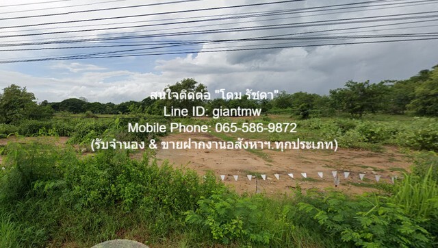 ที่ดิน ที่ดิน ปากน้ำปราณ 0 ตร.ว. 0 Ngan 48 ไร่ 120000000 บาท. ใกล้ ห่างจากถนนทางหลวงหมายเลข 4 (ถนนเพชรเกษม) ประมาณ 7 กม.