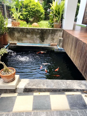 [ให้เช่า] FOR RENT DETACHED HOUSE SONGPRAPA – DONMUANG / 3 bedrooms 3 bathrooms / 199 Sqw. 350 Sqm. **80,000** JUST 5 MIN FROM DONMUANG AIRPORT