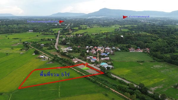 Land for sale Chaiyaphum ขายที่ดินชัยภูมิ มี 2 แปลง สามารถถมดิน ทำบ้าน ทำธุรกิจค้าขายได้ โทร 061-1195112