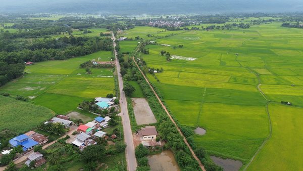 Land for sale Chaiyaphum ขายที่ดินชัยภูมิ มี 2 แปลง สามารถถมดิน ทำบ้าน ทำธุรกิจค้าขายได้ โทร 061-1195112