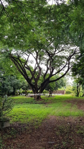 ขายด่วน!! ที่ดินเชียงใหม่ ติดพิพิธภัณฑ์พระพิฆเนศ อ.ดอยหล่อ พร้อมบ้าน 4 หลัง Tel. 064-0635346