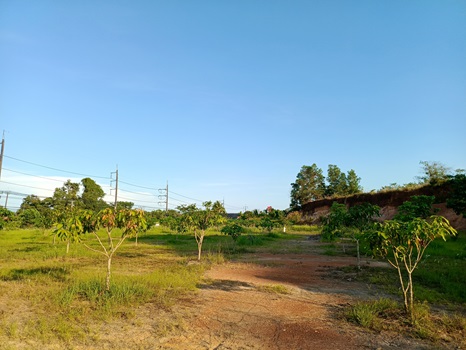 ขายที่ดินสวย พื้นที่สูงกว่าถนนสุขุมวิท สวยที่สุดในทำเลใกล้เคียง วังกระแจะ เมืองตราด