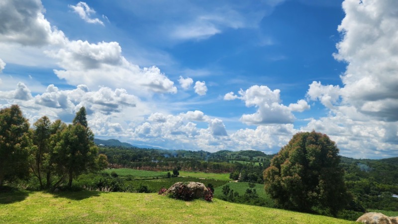 ขายที่ดินเขาใหญ่ บนเนินเขา *วิว360องศา ( ที่ดินจัดสรรฯ แบ่งแปลง )  อากาศบริสุทธิ์ (ราคาพิเศษ) เนื้อที่เริ่มต้น 300 ตารางวา  อ.ปากช่อง จ.นครราชสีมา