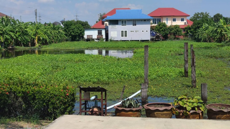 ขายด่วน ที่ดิน 200ตร.วาจำกัด  เขตคลองสามวา  แขวงทรายกองดินใต้ มีนบุรี กทม.