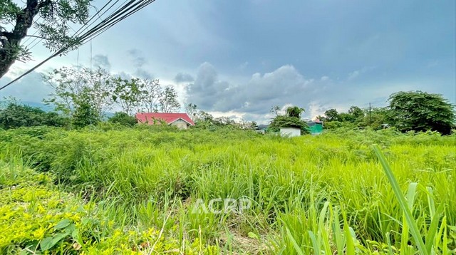 ขายที่ดินถนนคันคลอง ใกล้สี่แยกราชพฤกษ์เชียงใหม่ แปลงมุมถนน