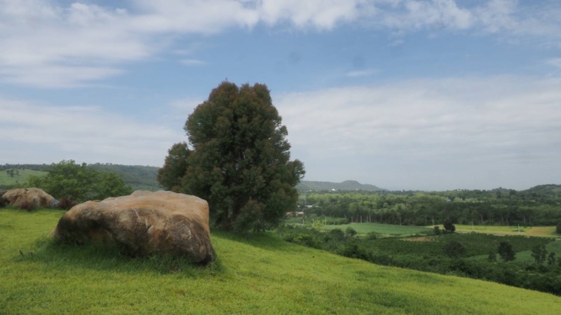 ขายที่ดินเขาใหญ่ บนเนินเขา *วิว360องศา ( ที่ดินจัดสรรฯ แบ่งแปลง )  อากาศบริสุทธิ์ (ราคาพิเศษ) เนื้อที่เริ่มต้น 300 ตารางวา  อ.ปากช่อง จ.นครราชสีมา