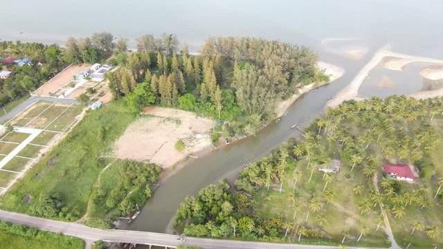 ขายที่ดินชุมพรหาดบ้านหนองบัว 107ตรว. 2แปลงสุดท้ายราคาพิเศษ ทำเลดีเดินทางสะดวก