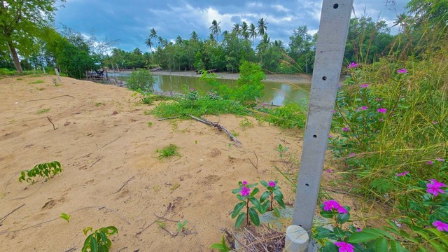 ขายที่ดินชุมพรหาดบ้านหนองบัว 107ตรว. 2แปลงสุดท้ายราคาพิเศษ ทำเลดีเดินทางสะดวก