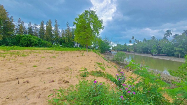 ขายที่ดินชุมพรหาดบ้านหนองบัว 107ตรว. 2แปลงสุดท้ายราคาพิเศษ ทำเลดีเดินทางสะดวก