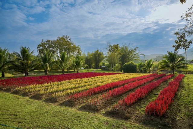 ขายรีสอร์ท เมืองนะ เชียงดาว เชียงใหม่ เนื้อที่ 14 ไร่ 2 งาน 19 ตรว. วิวสวย ท่ามกลางหุบเขา มีลำธารล้อมรอบ พร้อมทำกิจการได