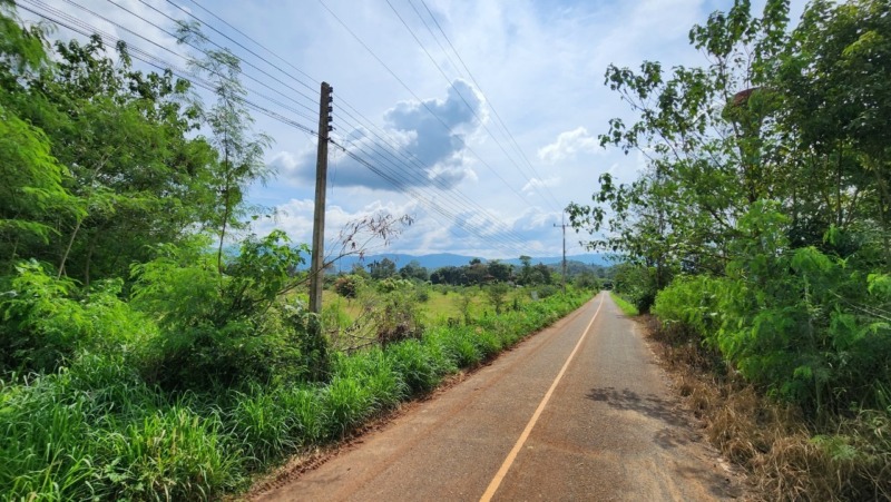 ที่ดินเขาใหญ่ 3ไร่.(ขายแบ่งครึ่งได้)  | ใกล้น้ำพุร้อน บ. ท่าช้างหมูสี | ตร.วาล่ะ 13,000บ.