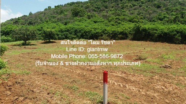 ที่ดิน ขายที่ดินเปล่าปากน้ำปราณ (ห่างชายทะเลปากน้ำปราณ 3 กม.) 335.5 ตร.ว. 3355000 บาท. 335 ตาราง-วา ใกล้ ห่างจากชายทะเลป