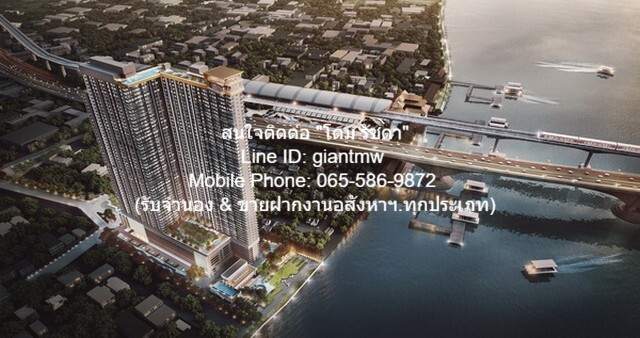 Condo. เดอะ โพลิแทน รีฟ The Politan Rive 15000 thb 1ห้องนอน 31Square Meter ไม่ไกลจาก รถไฟฟ้า MRT สายสีม่วง ทำเลดี เป็นคอ