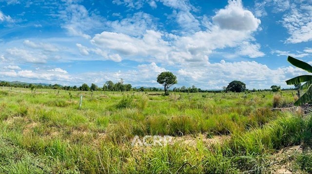 ขายที่ดิน ตำบลมะเขือแจ้ เมืองลำพูน ขนาดที่ดิน 15 ไร่