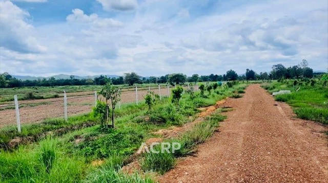 ขายที่ดิน ตำบลมะเขือแจ้ เมืองลำพูน ขนาดที่ดิน 15 ไร่