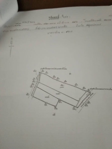 ขายด่วน ที่ดินเปล่า 12-3-21 ไร่ ในซอยวัดบัวโรย ถนนทางหลวงชนบทสมุทรปราการ 2006