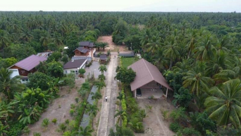 ขายที่ดินพร้อมบ้านทรงไทย และสวนมะพร้าว ตำบลบางคนที อำเภอบางคนที สมุทรสงคราม