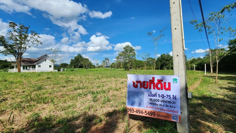 ที่ดินเขาใหญ่ฯ  | 1-0-75 ไร่.| 4.75 ล.| ติดหน้าผาฯ(หายาก) ต.หมูสีเขาใหญ่ฯ