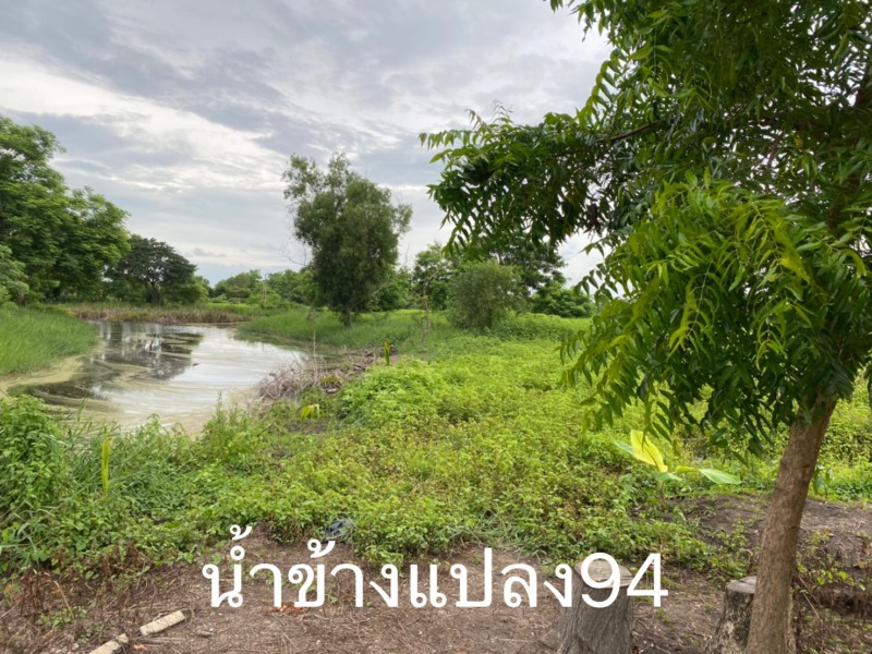 ขายด่วน ที่ดินแปลงจัดสรรล้อคที่ 76 เนื้อที่ 1-0-39ไร่ ในซอยสุวินทวงศ์ 47