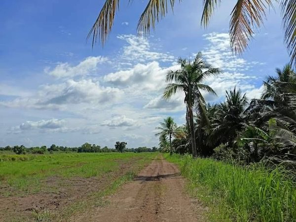 ฟรีดอก ผ่อนยาว ดาวน์น้อย-สาย สะสมที่ดิน ออมที่ดีกว่าออมทอง ที่ดินเงินผ่อน ไม่มีดอกเบี้ย T.062-1574449