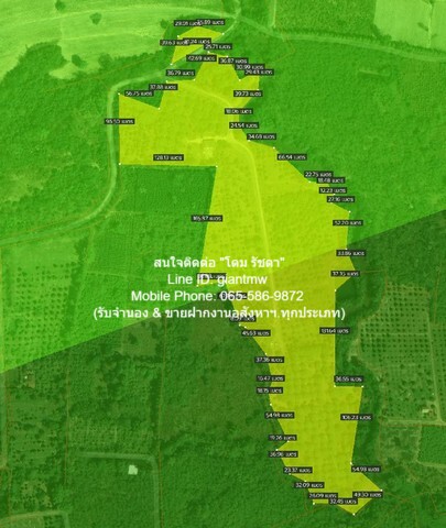 พื้นที่ดิน ขายที่ดินสวนผลไม้ปลอดสารพิษ (Organic) อ.ประจันตคาม จ.ปราจีนบุรี 57-0-90.4 ไร่, ราคา 57 ล้านบาท 57000000 BAHT