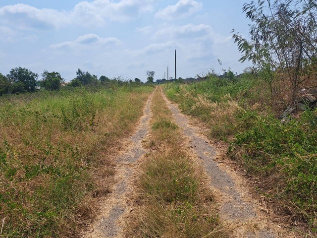 ขายที่ดินแปลงสวย ใน คลองหก ต.คลองหก อ.คลองหลวง จ.ปทุมธานี