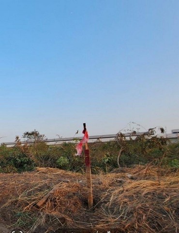 ขายที่ดินแปลงสวย ใน คลองหก ต.คลองหก อ.คลองหลวง จ.ปทุมธานี