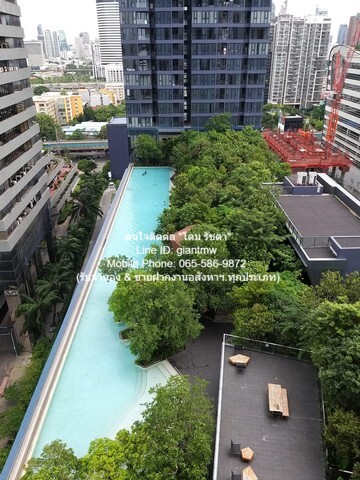 ต้องการให้เช่า condo. วันไนน์ไฟว์ อโศก – พระราม 9 1BEDROOM1ห้องน้ำ 30000 THB ใกล้กับ MRT พระราม 9 สวยและดี