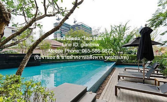 CONDO Hive Sukhumvit 65 ใกล้กับ ใกล้ BTS เอกมัย 16000 thb 1Bedroom1Bathroom พื้นที่ = 40 square meter ราคานี้คุ้มยิ่งกว่