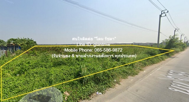 ID : DSL-678 ขาย ที่ดิน ขายที่ดินเปล่า (ติดถนนพิชัยเขต) ใกล้ อบต.บางใหญ่ จ.นนทบุรี (377 ตร.ว.), ราคา 3.77 ล้านบาท (4 ล้า