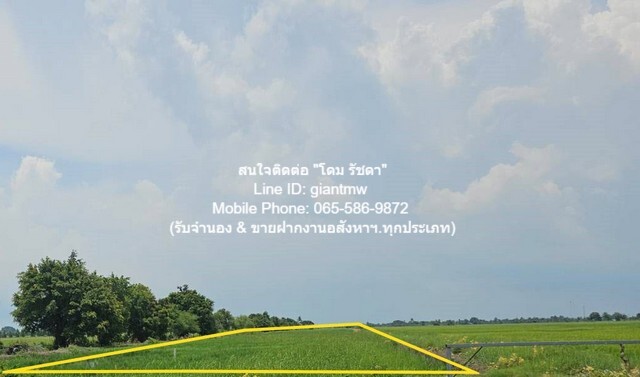 รหัส: DSL-637 ที่ดิน ขายที่ดินทุ่งนาติดถนน ต.คลองเปร็ง อ.เมืองฉะเชิงเทรา 13-0-24.9 ไร่ 6.25 ล้านบาท 25 ตาราง-วา 0 งาน 13