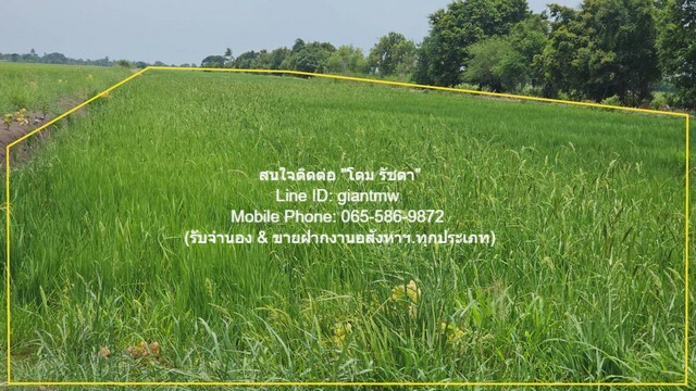 รหัส: DSL-637 ที่ดิน ขายที่ดินทุ่งนาติดถนน ต.คลองเปร็ง อ.เมืองฉะเชิงเทรา 13-0-24.9 ไร่ 6.25 ล้านบาท 25 ตาราง-วา 0 งาน 13