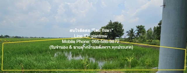 รหัส: DSL-637 ที่ดิน ขายที่ดินทุ่งนาติดถนน ต.คลองเปร็ง อ.เมืองฉะเชิงเทรา 13-0-24.9 ไร่ 6.25 ล้านบาท 25 ตาราง-วา 0 งาน 13