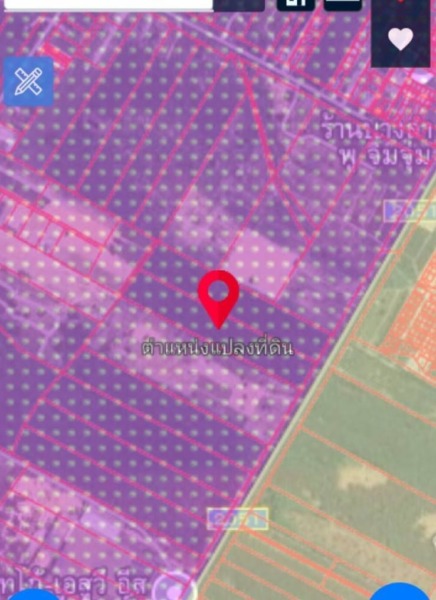 ขายที่ดินผังม่วงลายนิคมพัฒนาระยอง เนื้อที่48-2-77.7ไร่ ที่ดินผังม่วงลาย