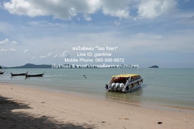 ขายที่ดินสวนป่า บนเนินไหล่เขา วิวทะเล (Seaview) เกาะสิเหร่ ภูเก็ต 5-0-48.7 ไร่ (ห่างชายทะเล 100 ม.), ราคา 76,826,250 บาท