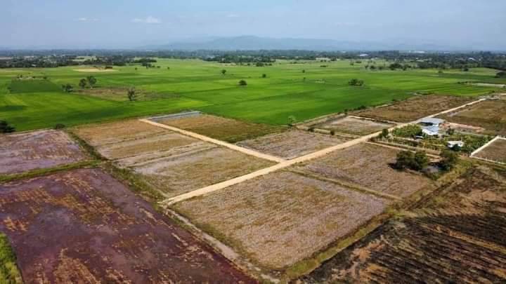 เปิดขายที่ดินสวยมาก เงินผ่อน  อ.ประจันตคาม จ.ปราจีนบุรี