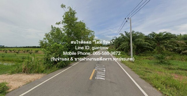 ที่ดิน ที่ดินทุ่งนา (วิวเขา) ต.ชัยบุรี อ.เมืองพัทลุง จ.พัทลุง 7-2-10 ไร่ ราคา 7.5 ล้านบาท 4515000 บาท. ขนาดเท่ากับ 7 Rai