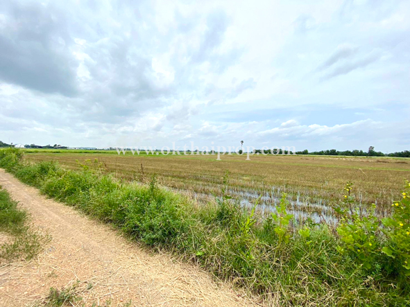 ที่ดิน ถ.347 ถนนหลัก (ถ.เกาะเกิด / ถ.บ้านแป้ง) อ.บางปะอิน จ.พระนครศรีอยุธยา