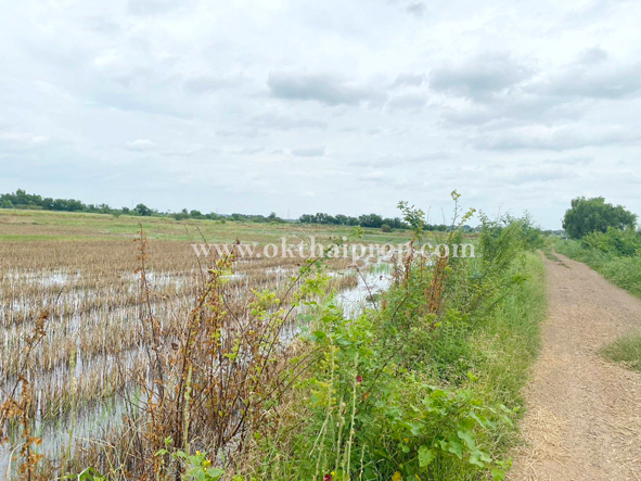 ที่ดิน ถ.347 ถนนหลัก (ถ.เกาะเกิด / ถ.บ้านแป้ง) อ.บางปะอิน จ.พระนครศรีอยุธยา