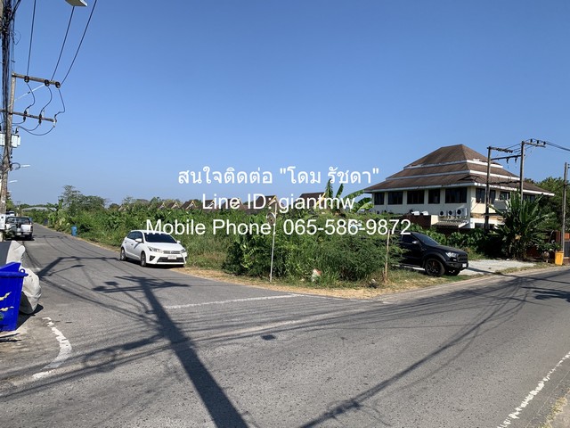 ที่ดิน ที่ดิน บ้านป่าหลาย อ.เมืองภูเก็ต 1847 ตร.วา 69247500 THAI BAHT ราคางาม ภูเก็ต