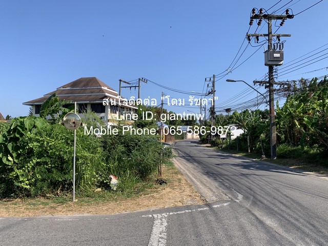 ที่ดิน ที่ดิน บ้านป่าหลาย อ.เมืองภูเก็ต 1847 ตร.วา 69247500 THAI BAHT ราคางาม ภูเก็ต