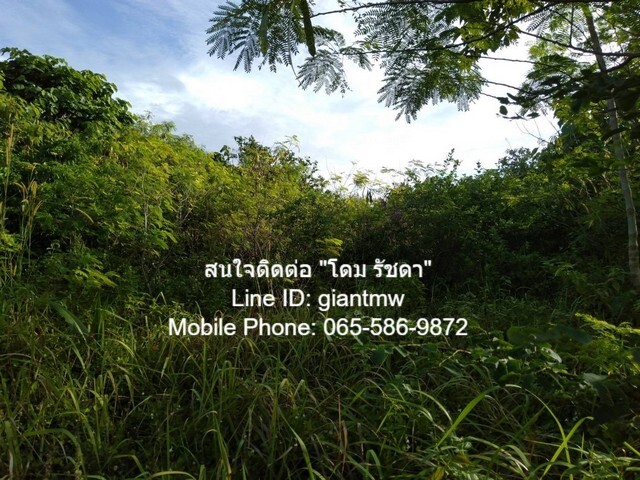 พื้นที่ดิน ที่ดินเกาะพีพี จ.กระบี่ ขนาด 68 ตร.วา 1 งาน 0 Rai ใกล้กับ Loh Lana Bay (500 ม.) HOT DEAL!! กระบี่