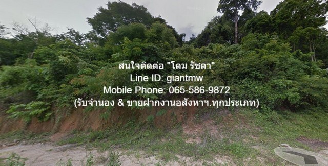 ขายที่ดินเปล่าบนภูเขา, วิวทะเล และมีถนนคอนกรีตหน้าที่ดิน ต.กมลา อ.กะทู้ จ.ภูเก็ต (2 ไร่), ราคา 34 ล้านบาท